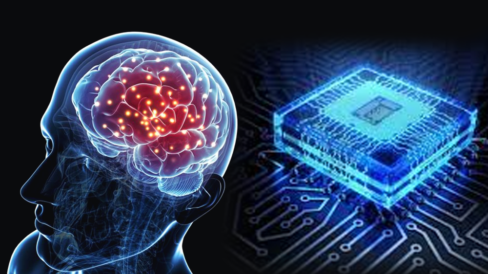 Important Differences between a Human Brain and a Computer