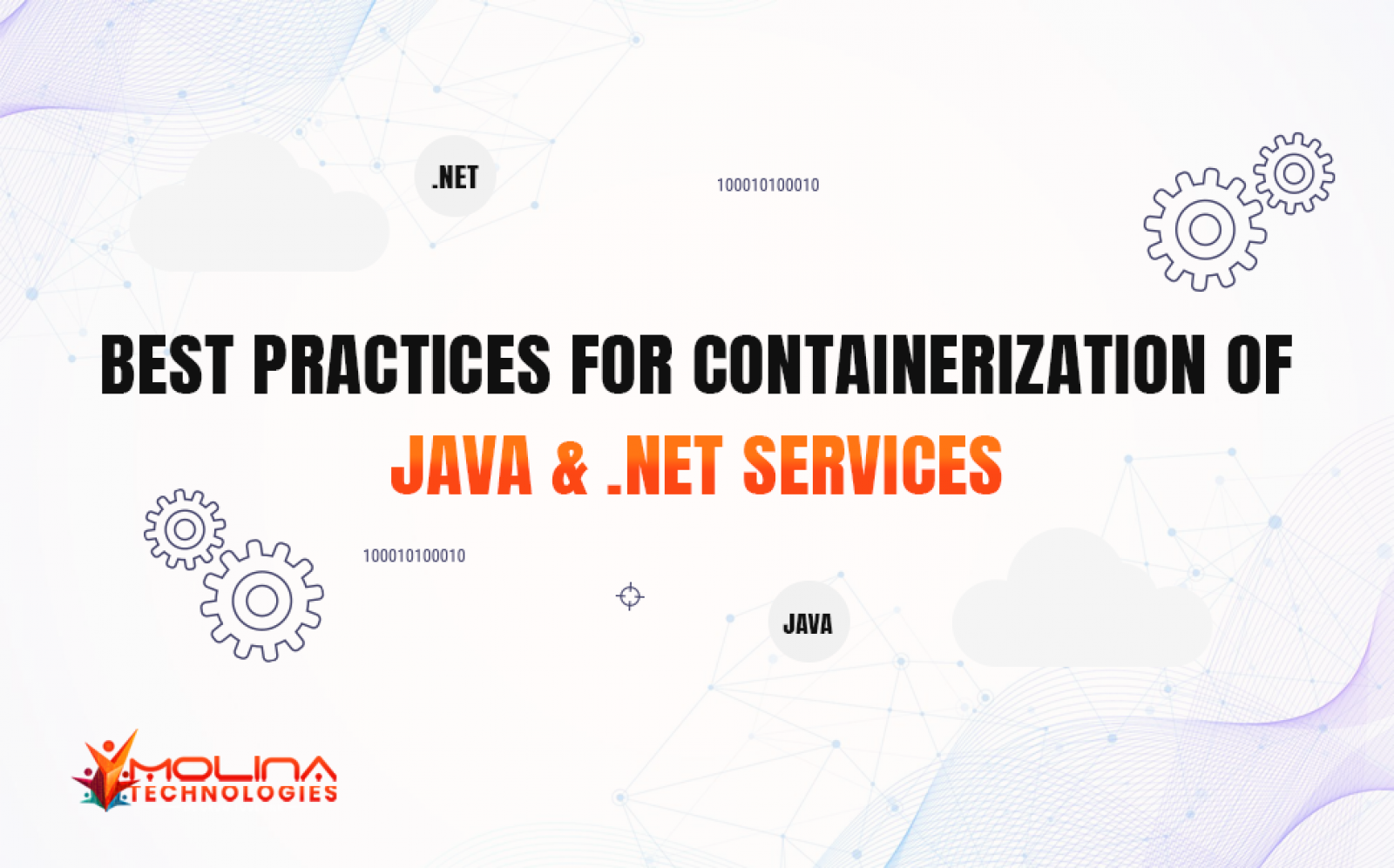 Expert Java and .NET Services | Molinatek Solutions