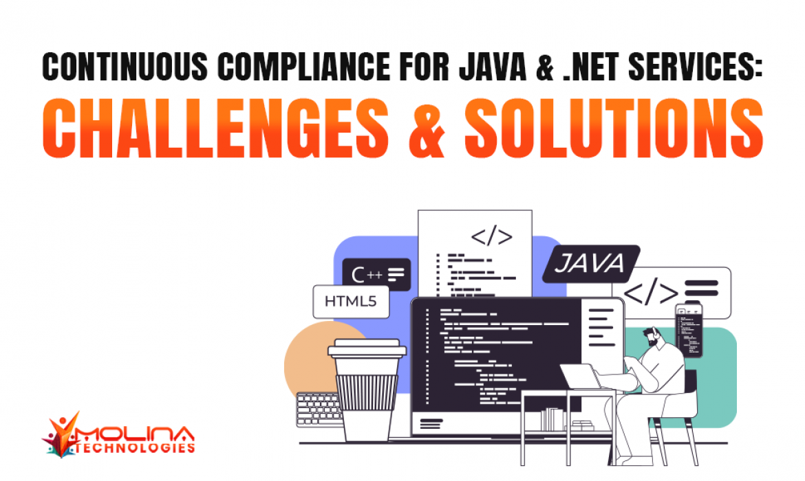 Challenges and Solutions for Continuous Java & .NET Security