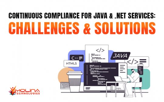 Challenges and Solutions for Continuous Java & .NET Security