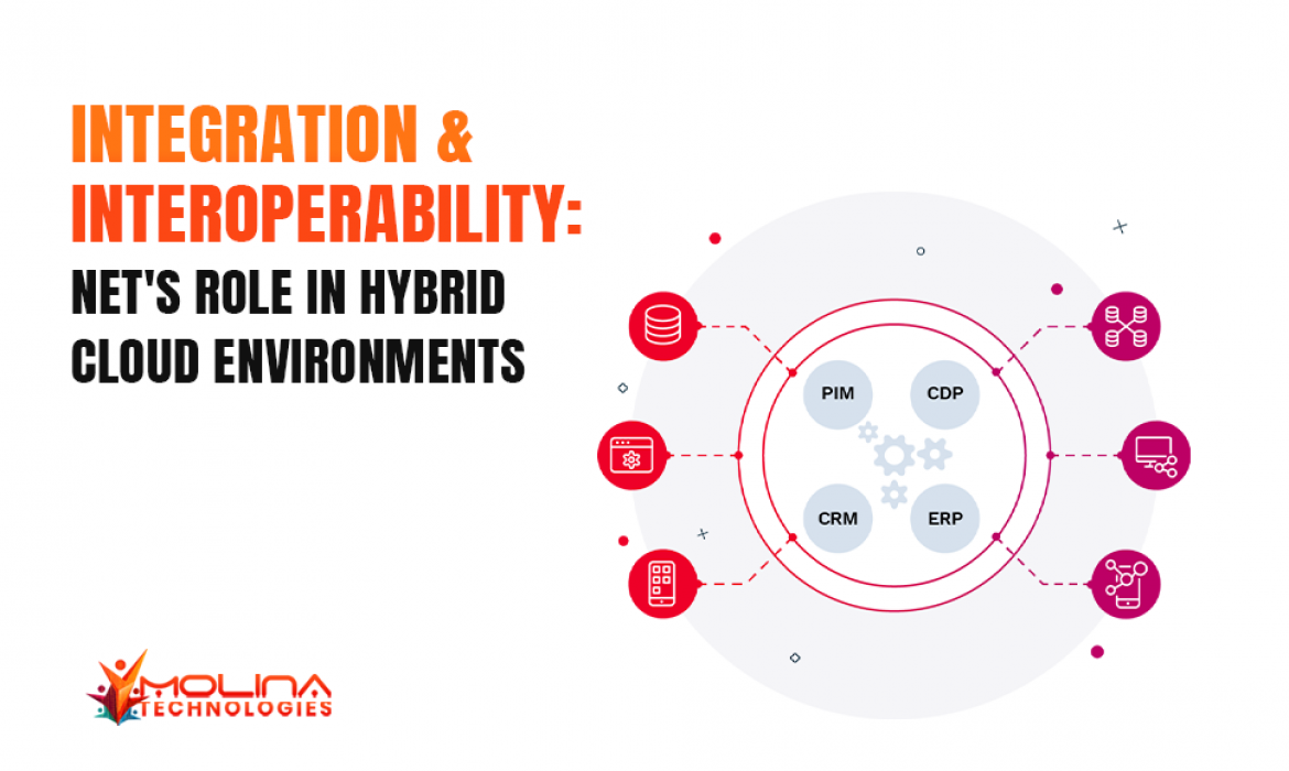 NET’s Role in Integrating Hybrid Cloud Ecosystems