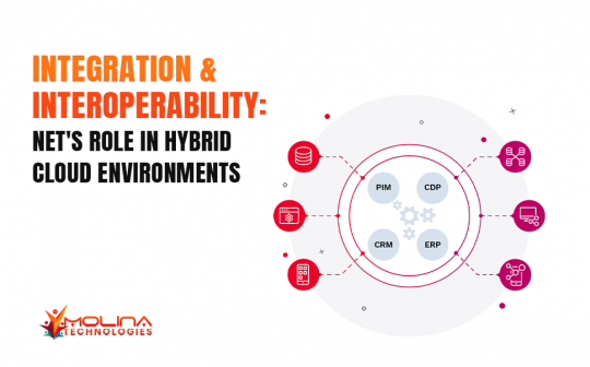 NET’s Role in Integrating Hybrid Cloud Ecosystems