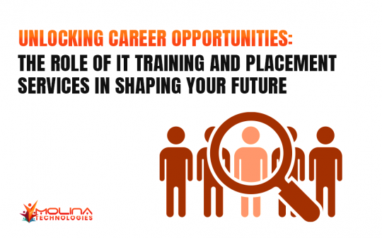 Charting Your Course: How IT Training and Placement Services Can Guide Your Career Potential