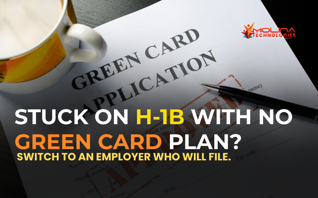 H1B professional concerned about green card delay working on laptop